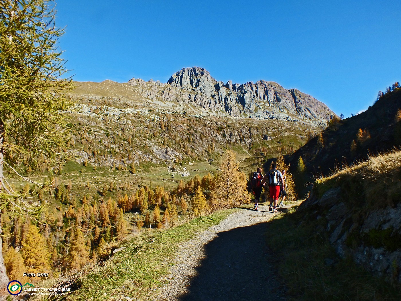 26 Sul sentiero 214 per Lago Colombo e Passo d'Aviasco.JPG